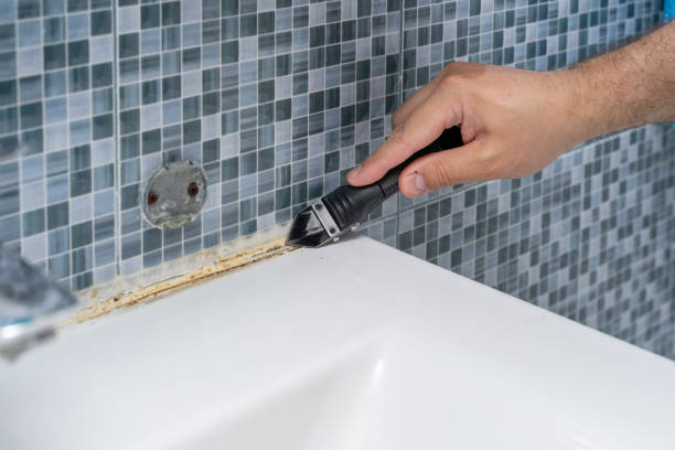 Best Professional Mold Removal  in Bressler, PA